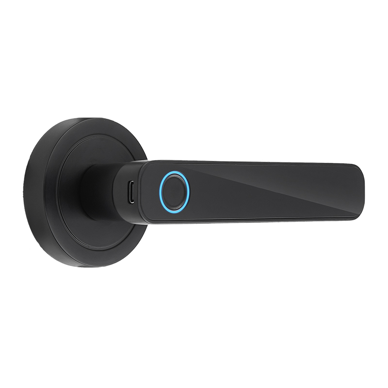 Apparence de la serrure à poignée WF-F3 noire