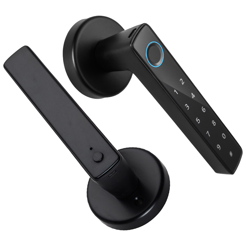 WF-F8 Serrure à Poignée Empreinte & Mot de Passe